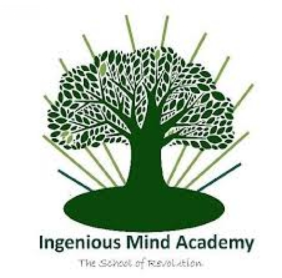 INGENIOUS MIND ACADEMY